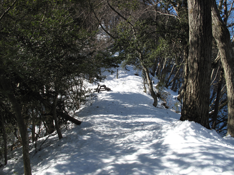 20180126hike (39)